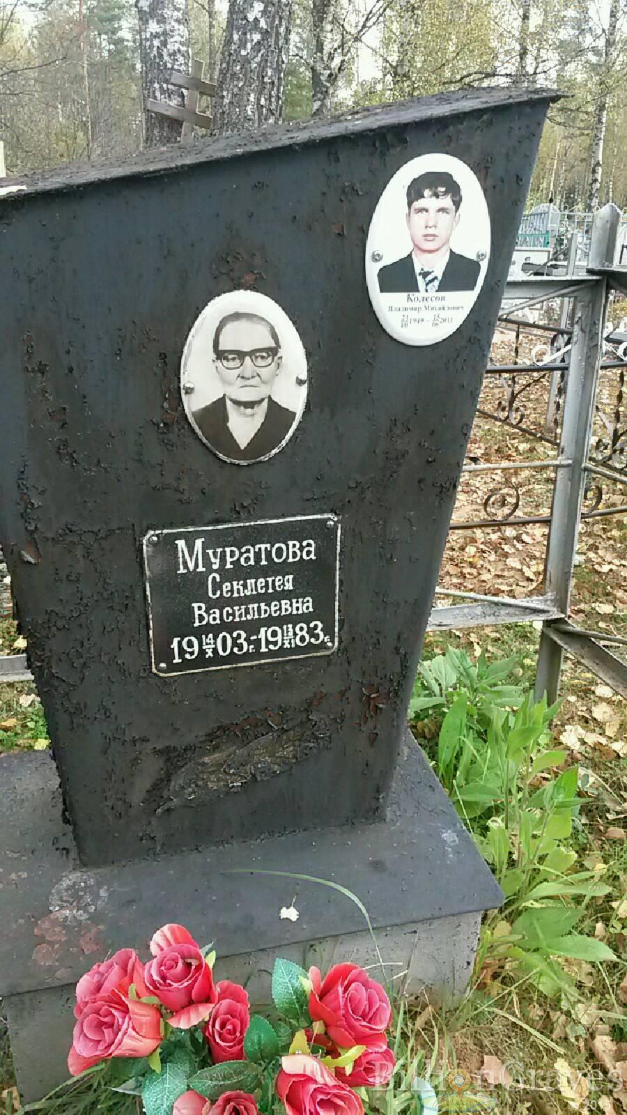 Колесов Владимир Михайлович