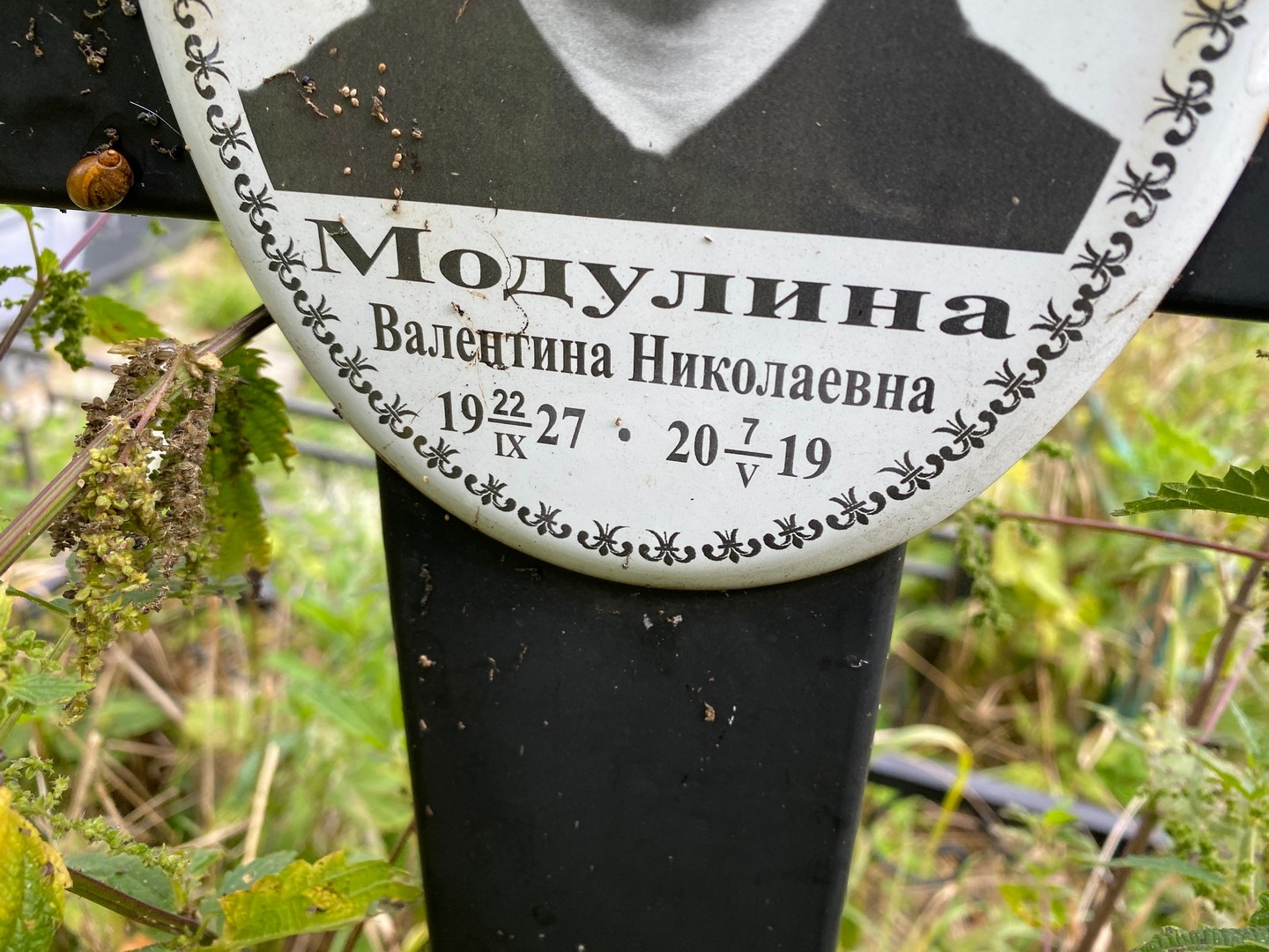 Модулина