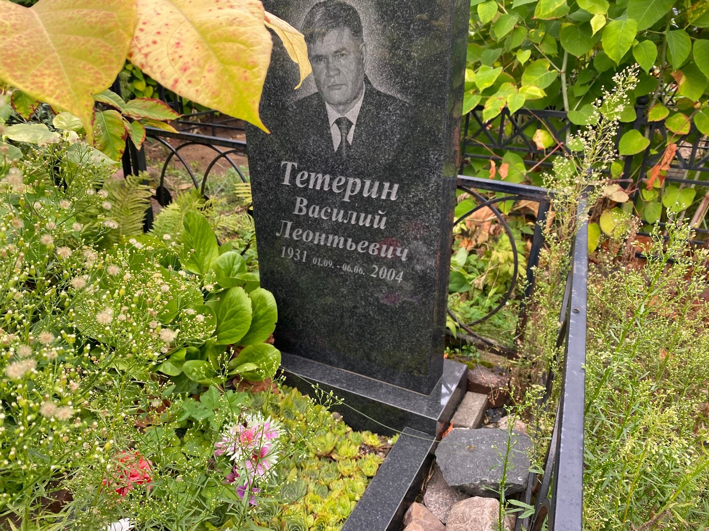 Тетерин