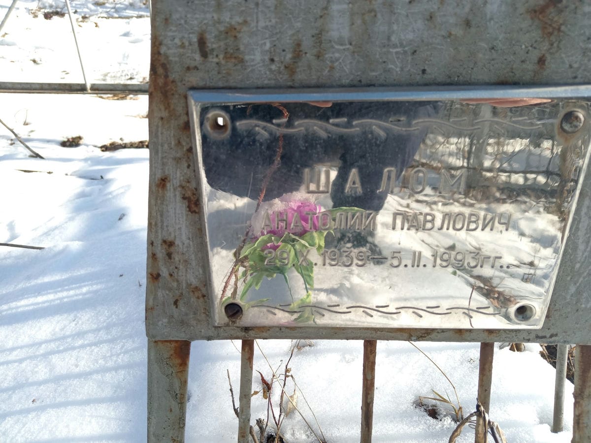 Шалом Анатолий Павлович
