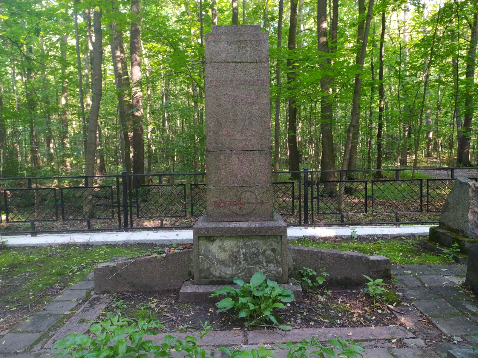 Комлева Елена Дмитриевна