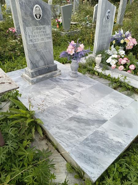 Борн Георгий Георгиевич