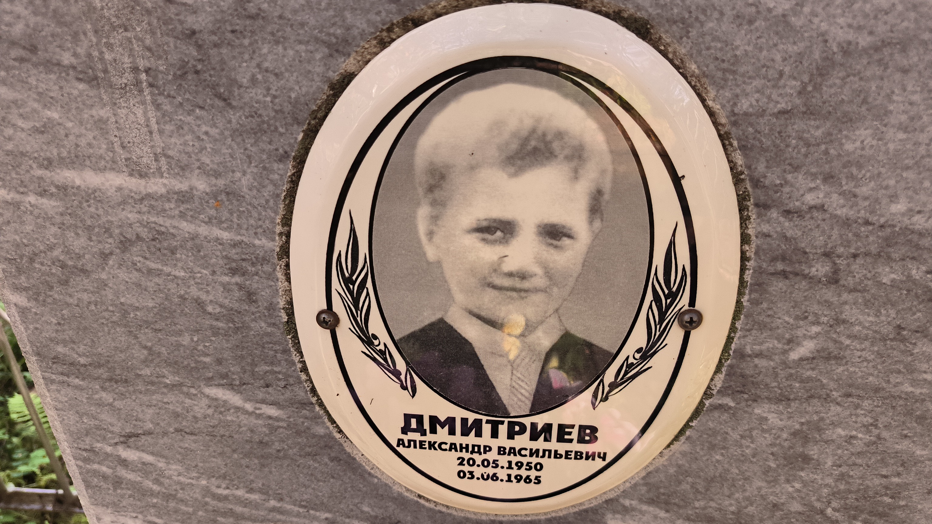 Дмитриев Александр Васильевич