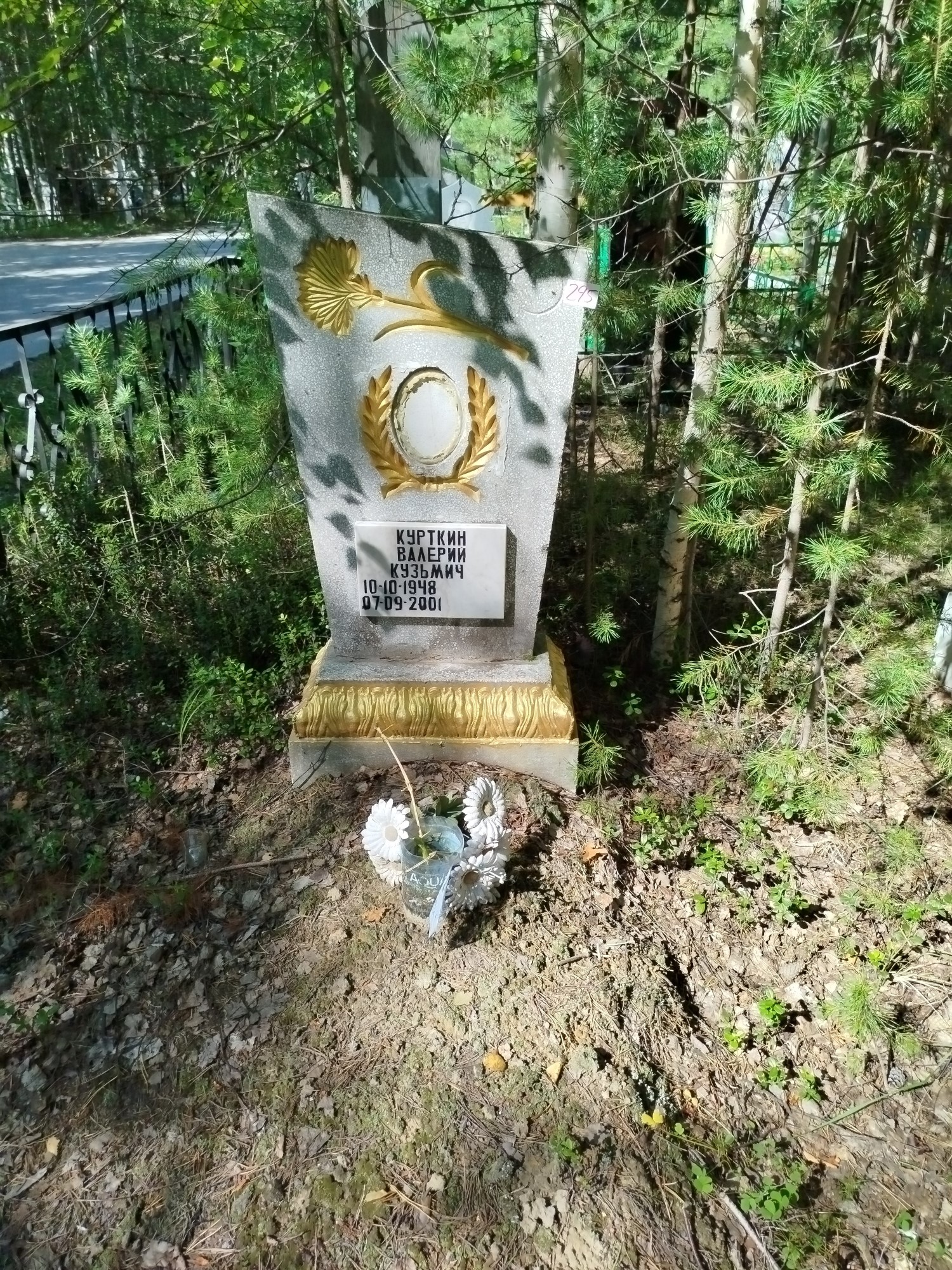 Курткин Валерий Кузьмич