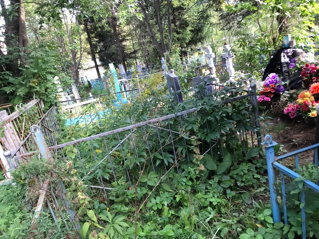 Дмитричев Николай Егорович