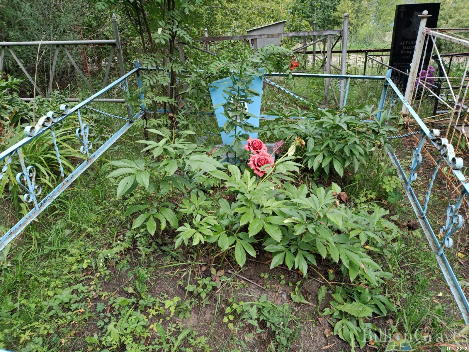 Силина Татьяна Дмитриевна
