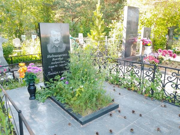 Недошовенко Виктор Андреевич