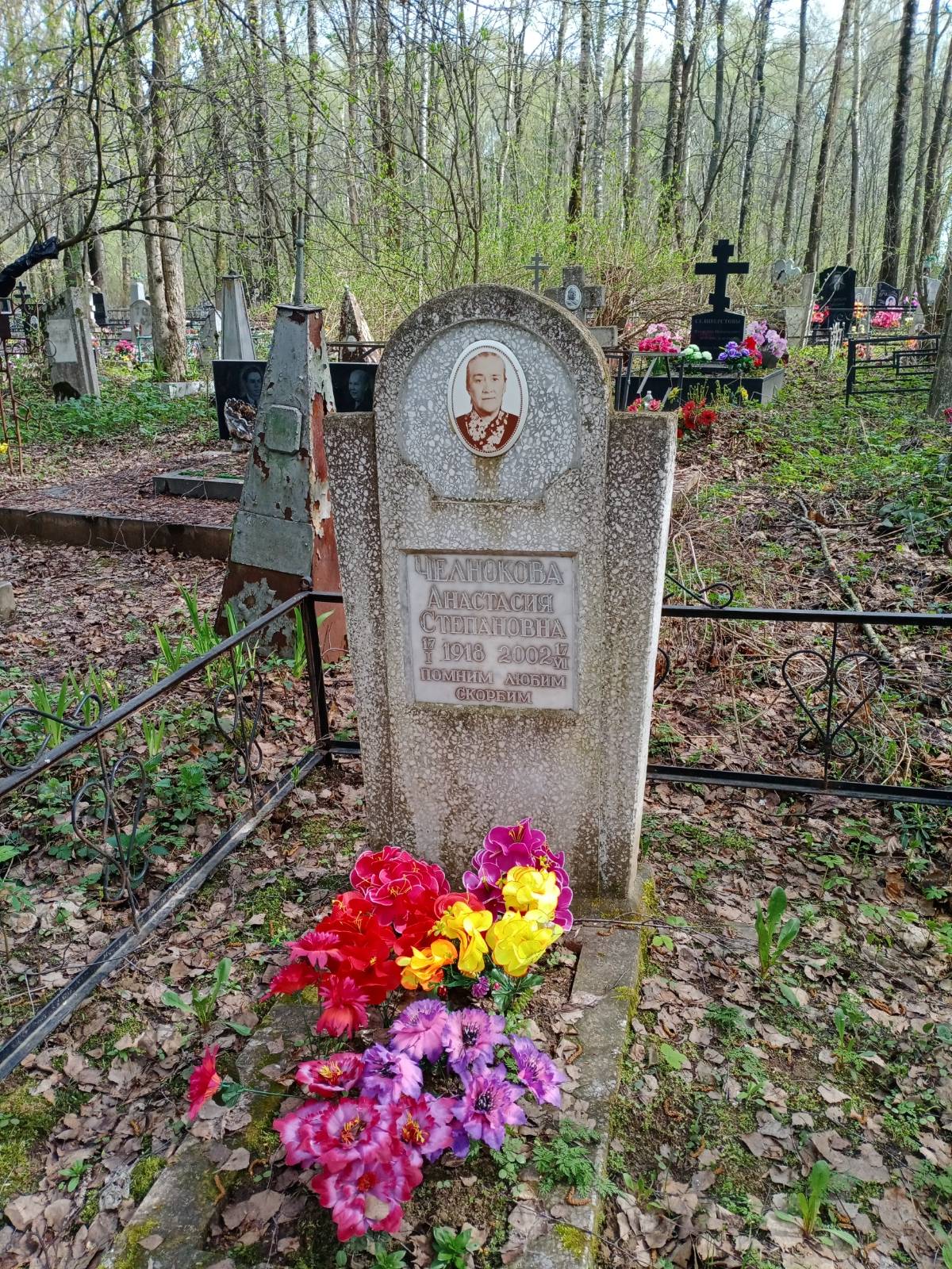 Челнокова Анастасия Степановна