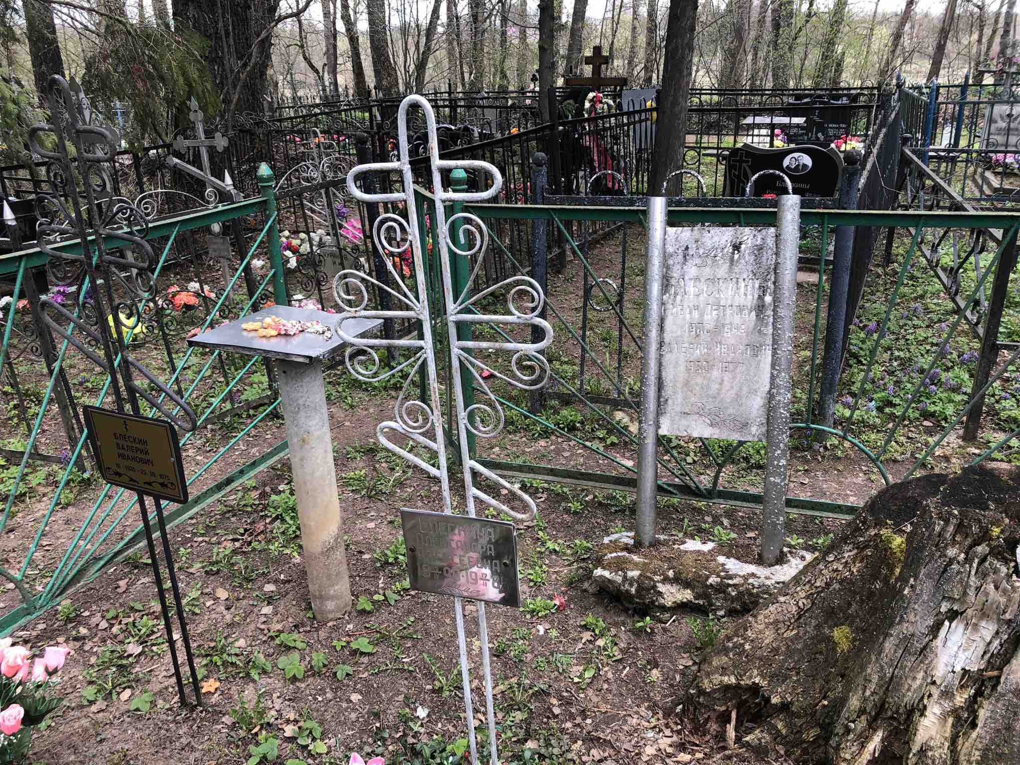 Блескина Александра Алексеевна