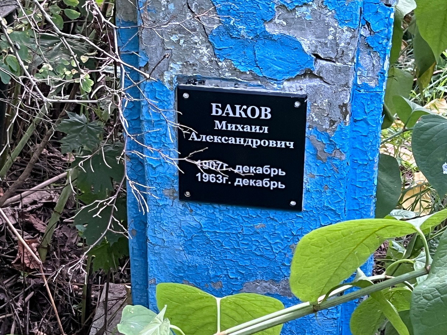 Баков