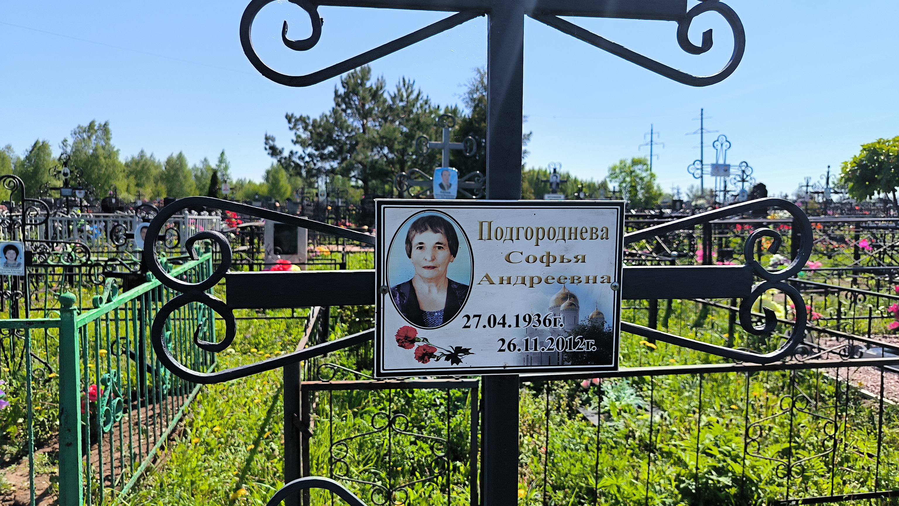 Подгороднева Софья Андреевна