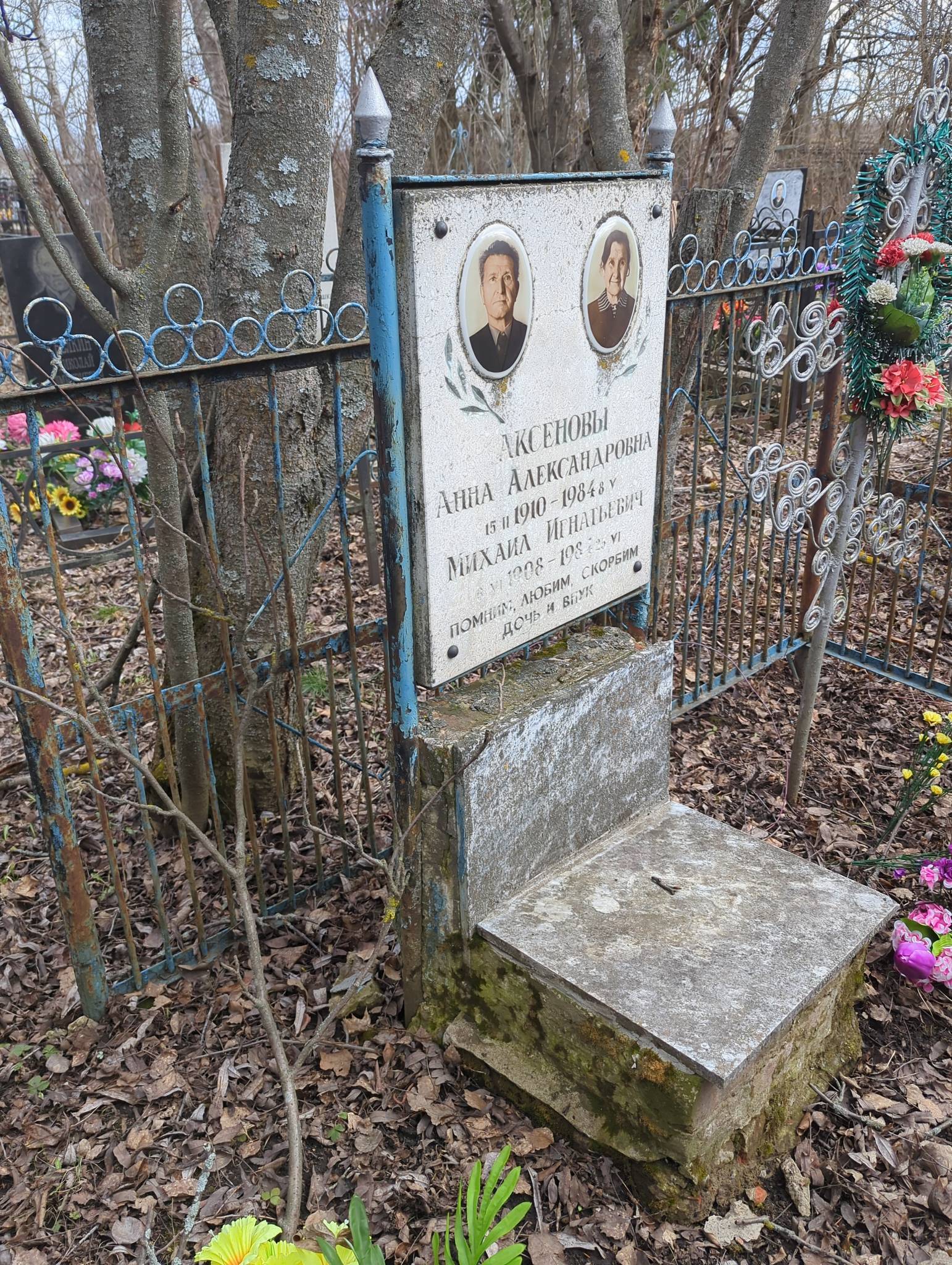 Аксенова Анна Александровна