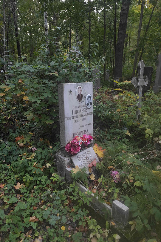Писарева Анна Васильевна