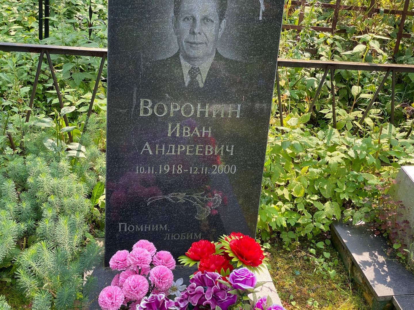Воронин