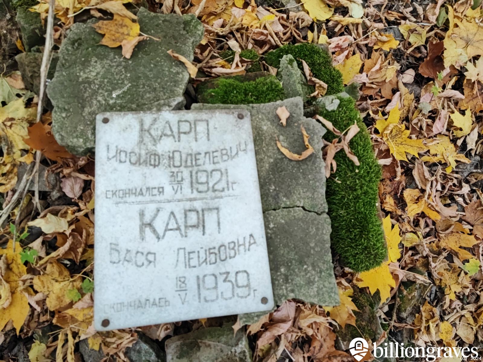 Карп Бася Лейбовна