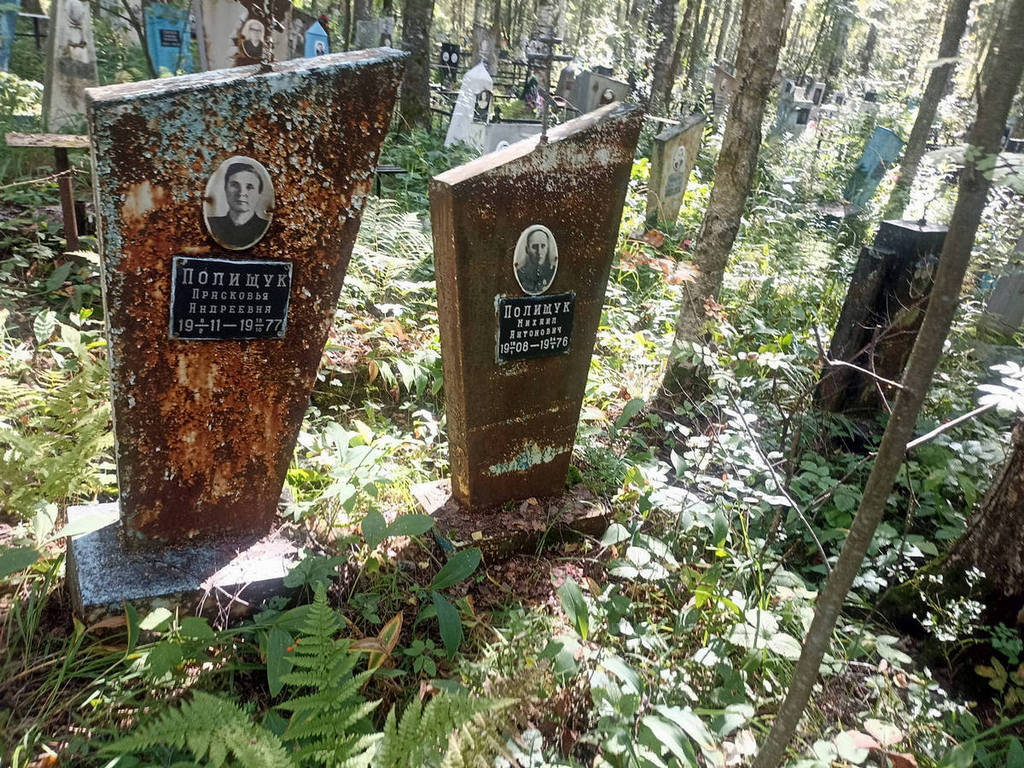 Полищук Михаил Антонович