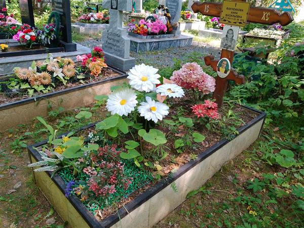 Фарленкова Анна Васильевна