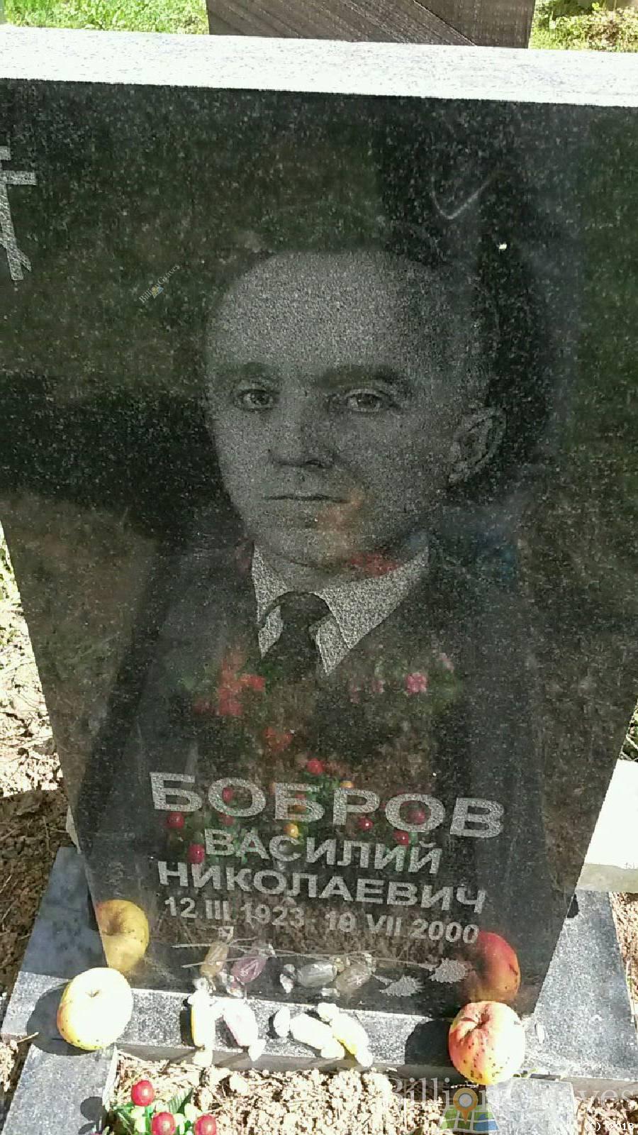 боброва александра андреевна
