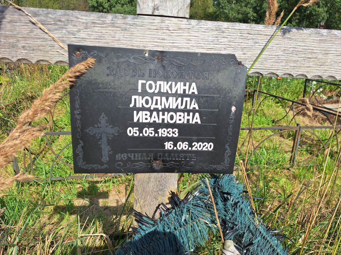 Голкина