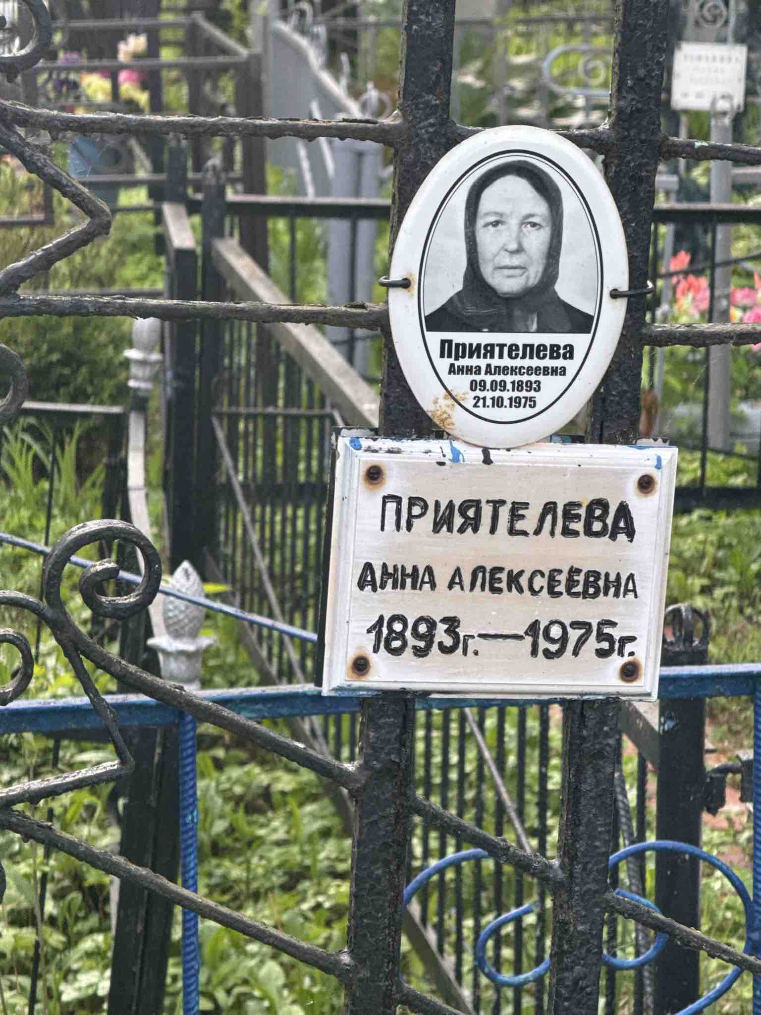 Приятелева Анна Алексеевна