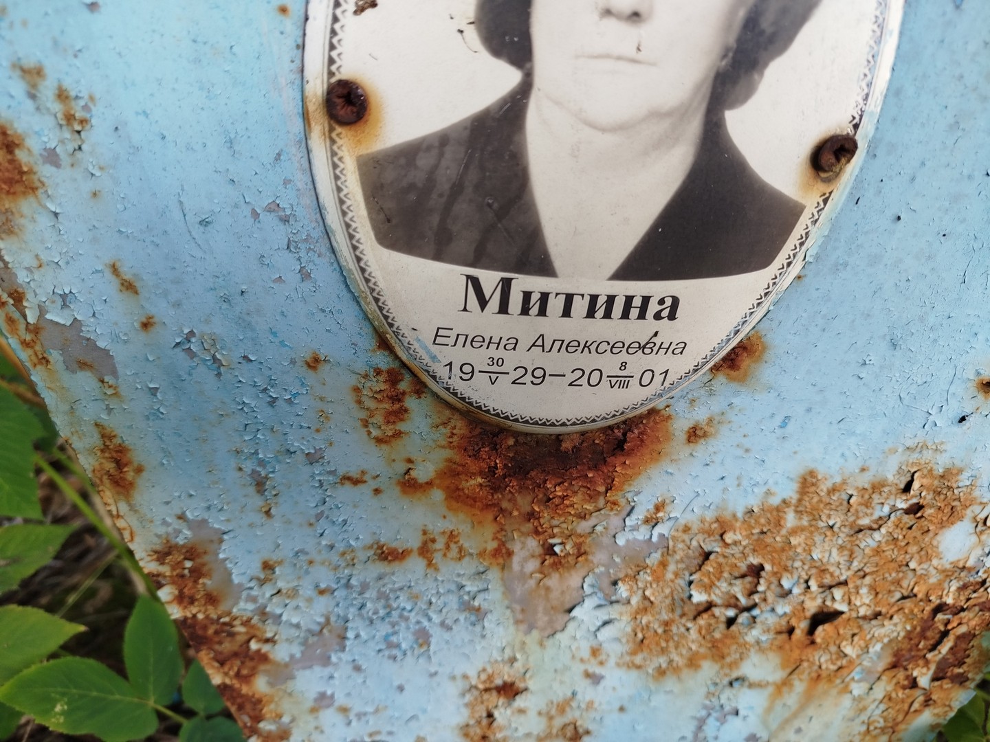 Митина