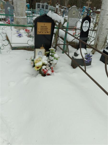 Лошагина Александра Николаевна