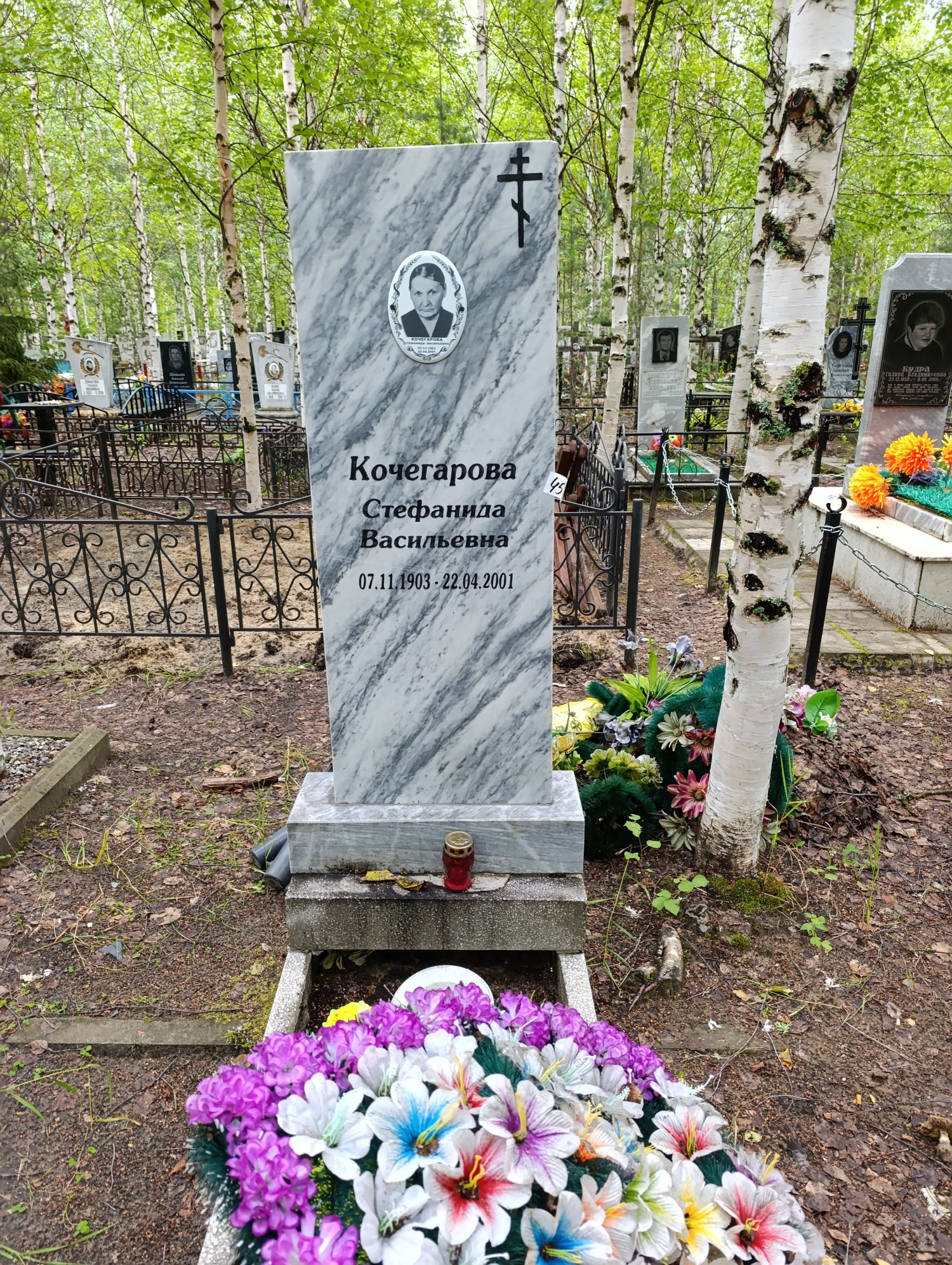 Кочегарова Стефанида Васильевна