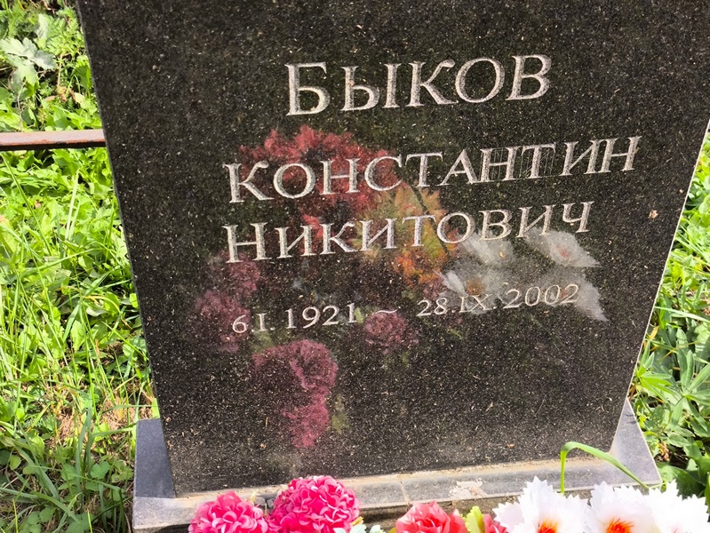 Быков