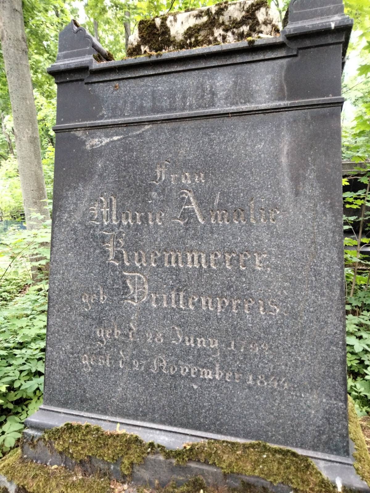 Kaemmerer Heinrich Wilhelm
