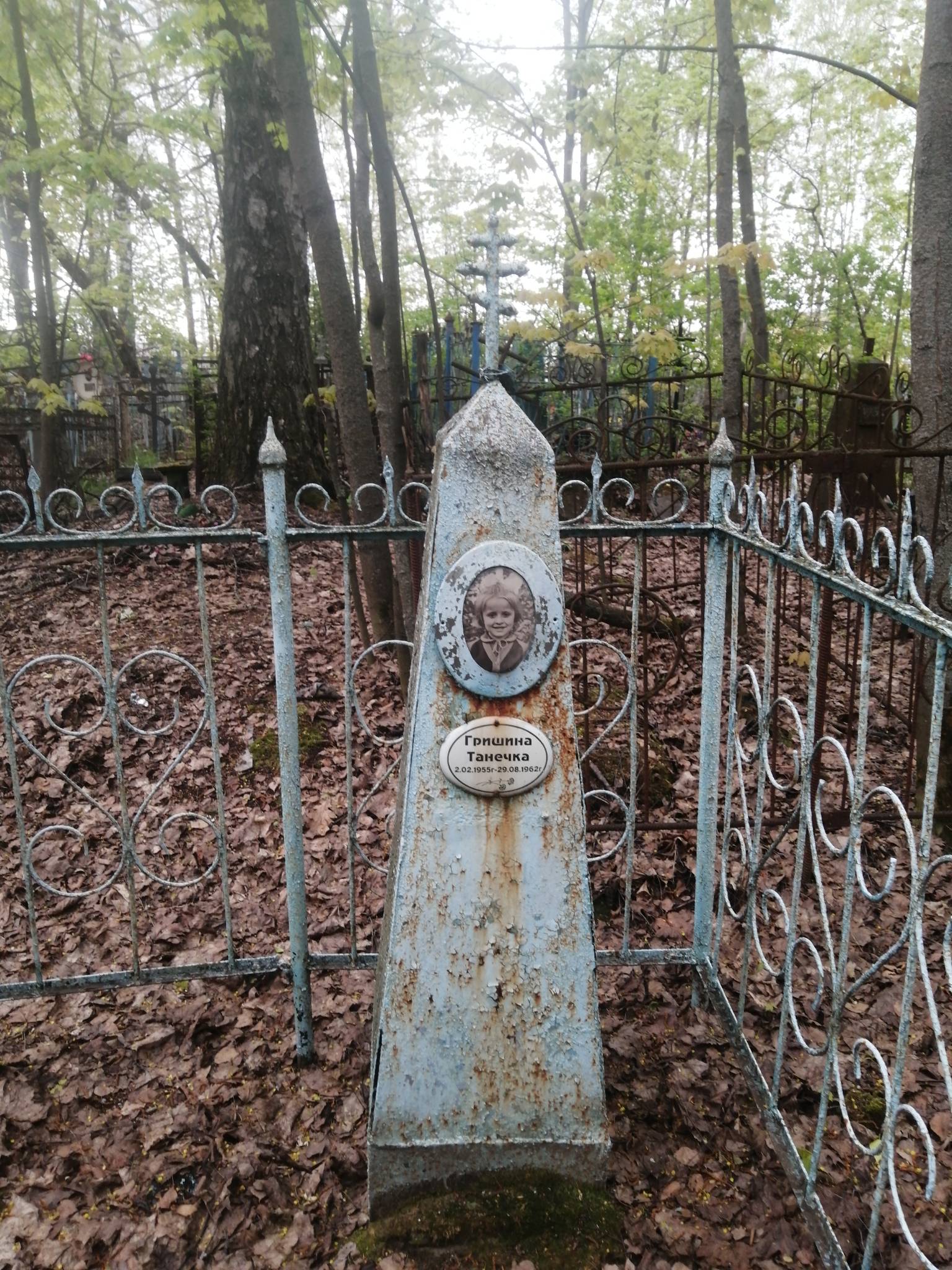 Гришина Таня