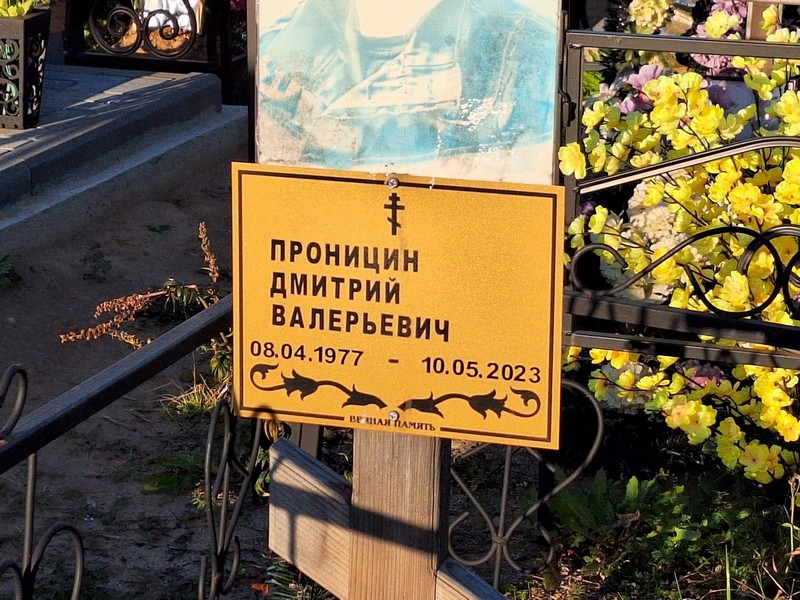 Проницин