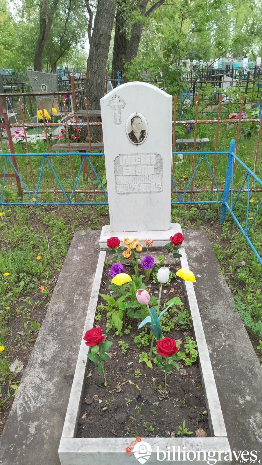 Пиденко Елена Вавиловна