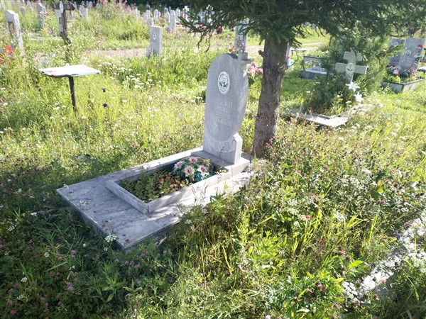 Ширяева Полина Ивановна