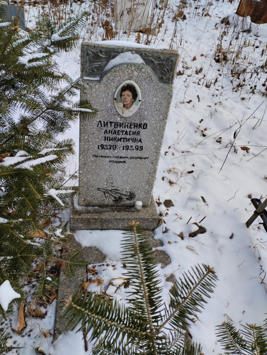 Литвиненко Анастасия Никитична