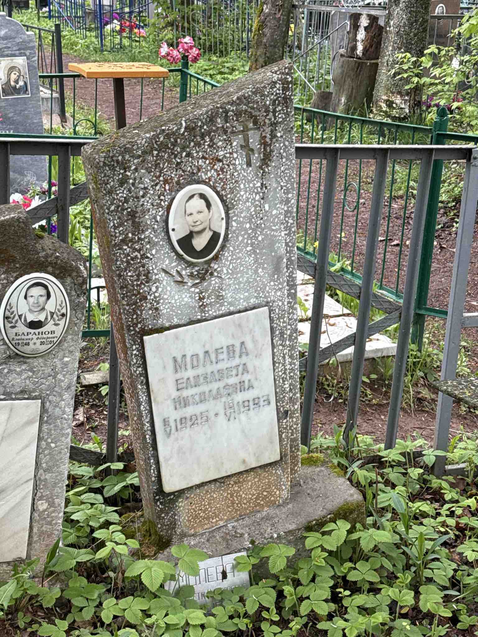 Молева Елизавета Николаевна