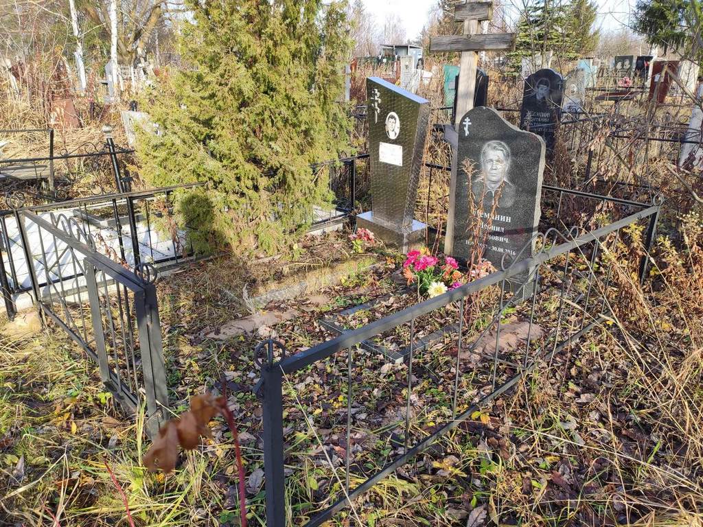 Деманин Леонид Иванович