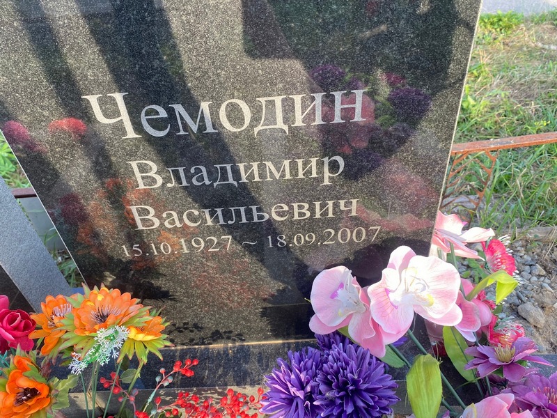 Чемодин