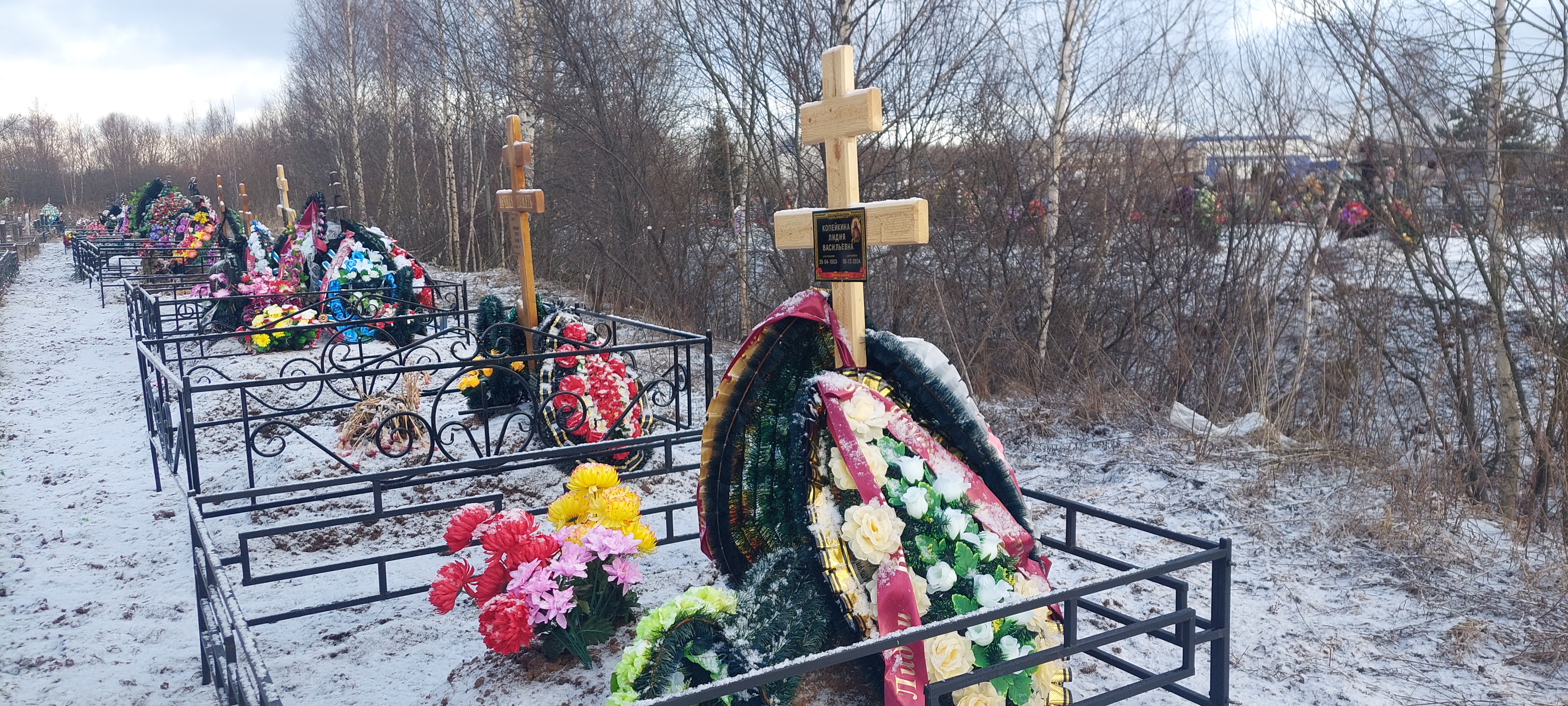 Копейкина