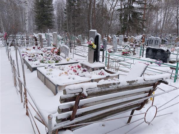 Бикинеева Алевтина Александровна