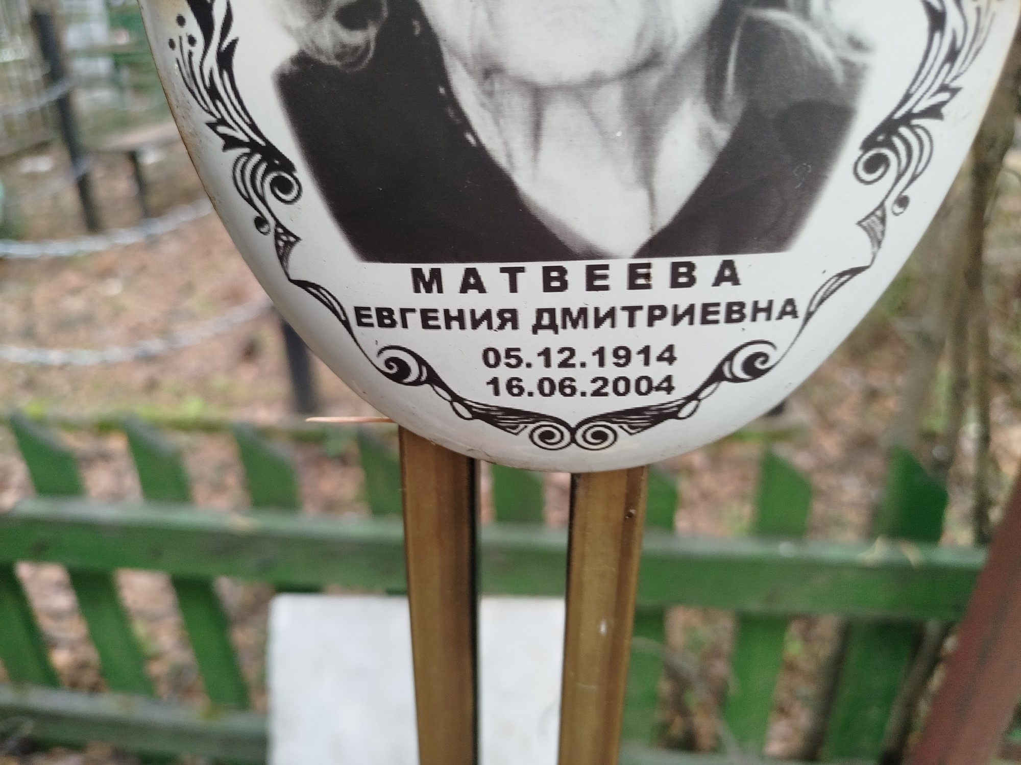 Матвеева Евгения Дмитриевна