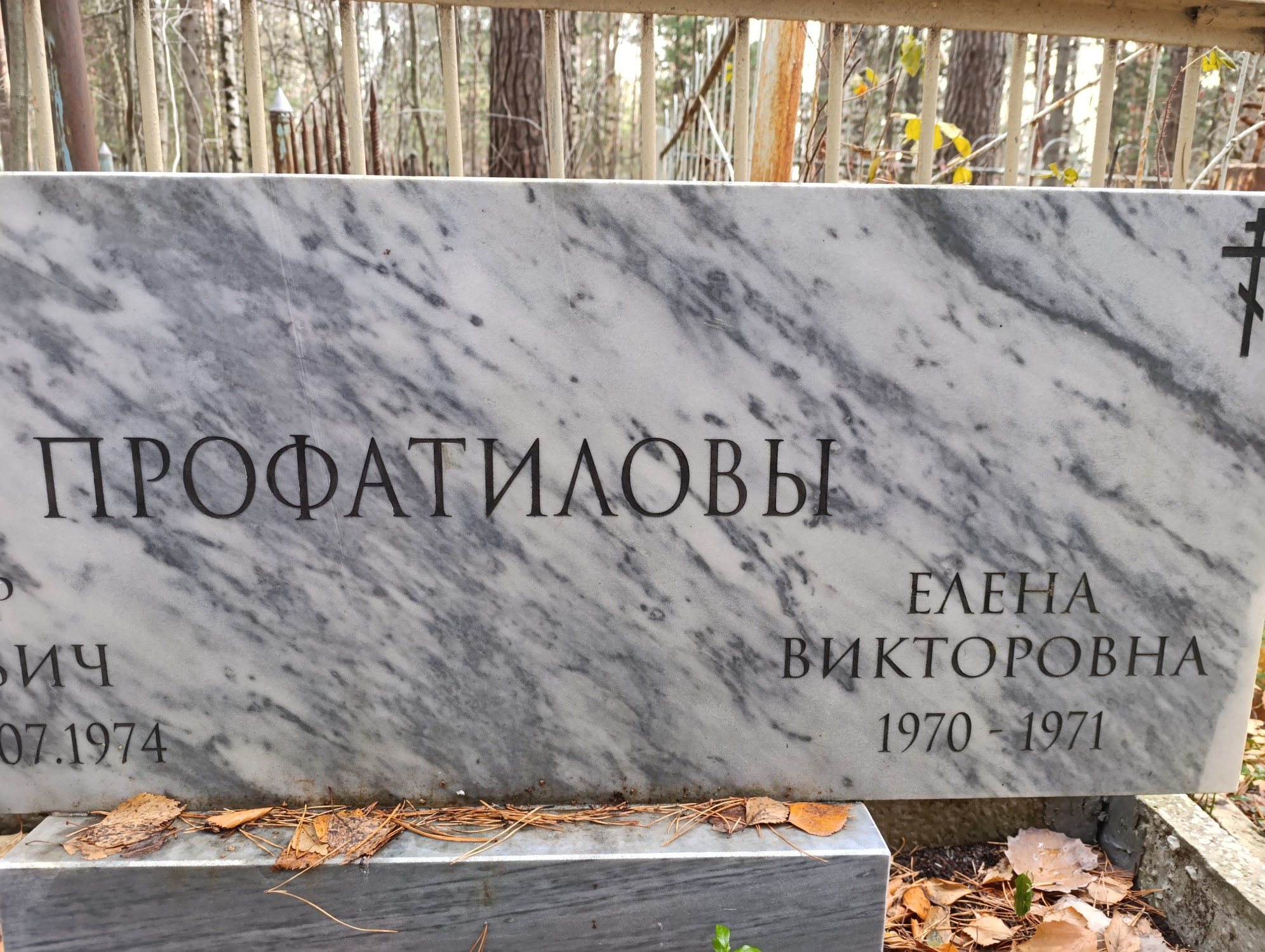 Профатилова Елена Викторовна