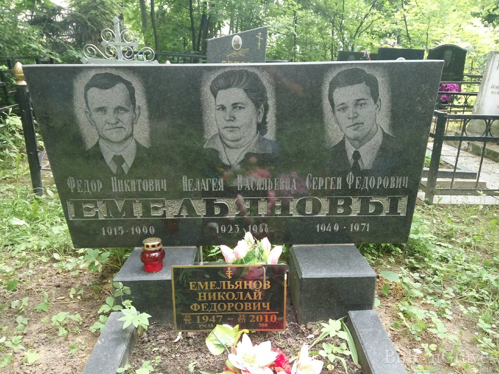 емельянов николай федорович