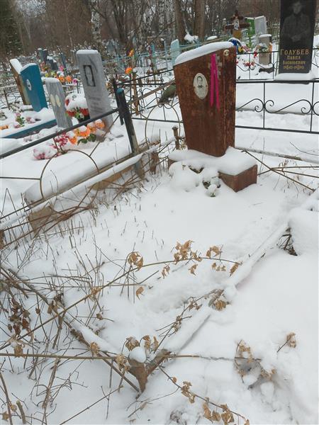 Брызгина Ксения Григорьевна