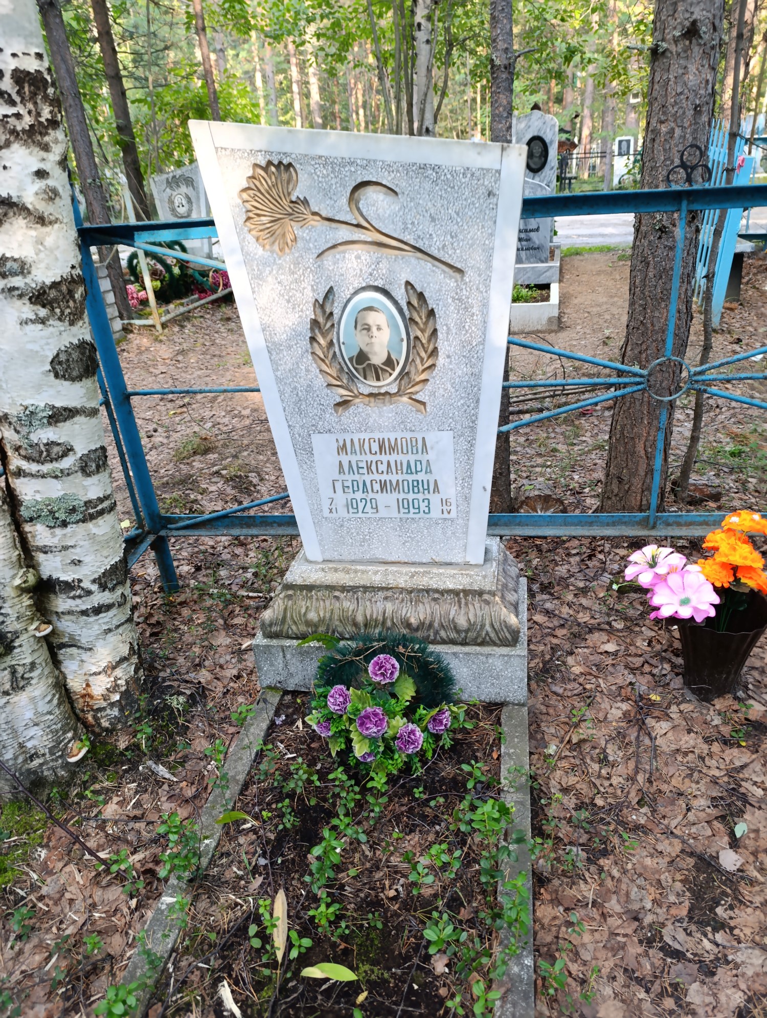 Максимова Александра Герасимовна