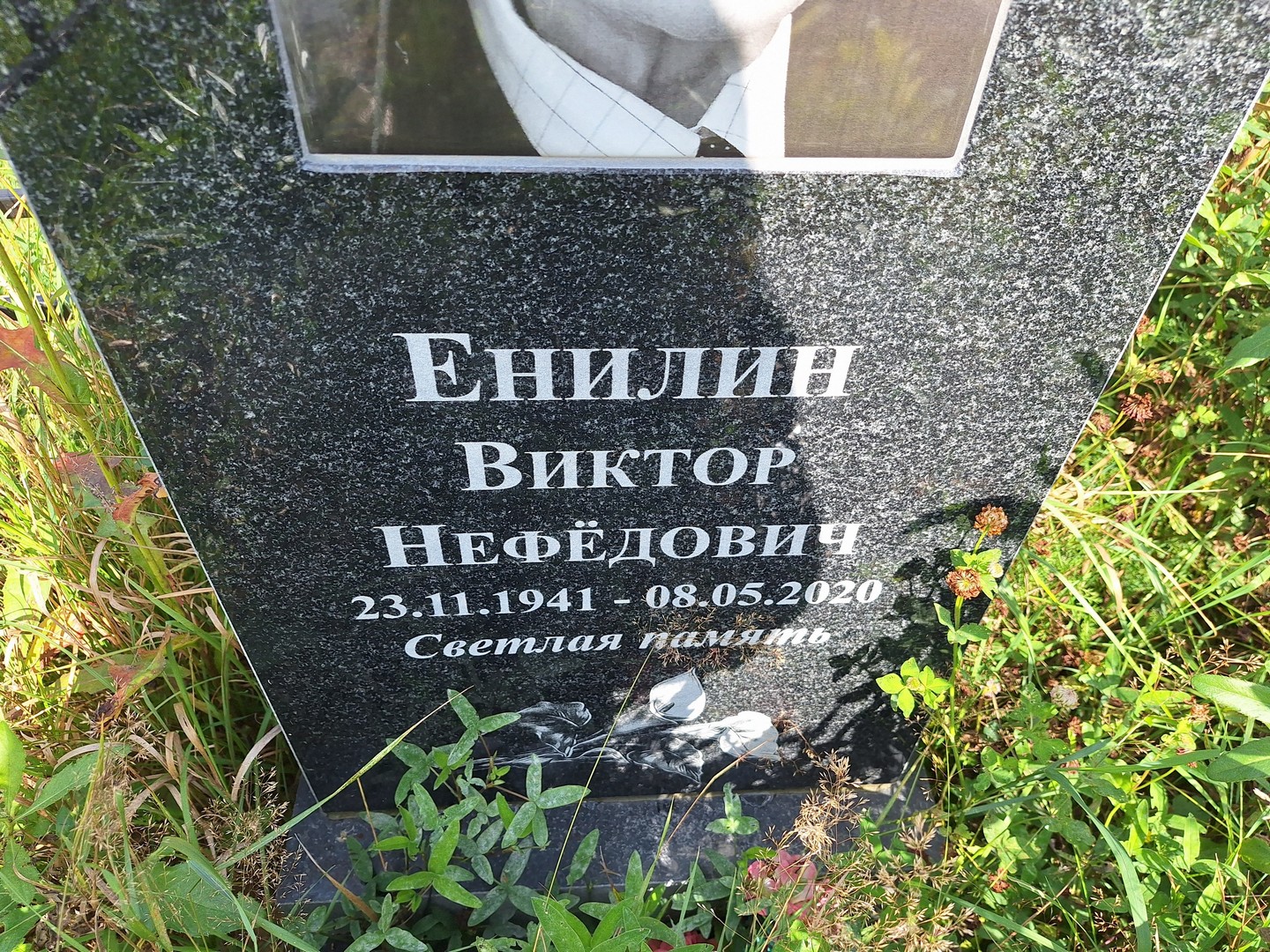 Енилин