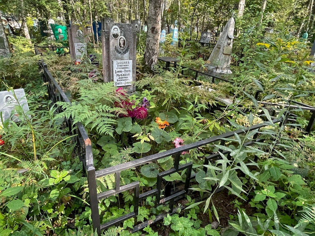 Рыбаков Дмитрий Васильевич