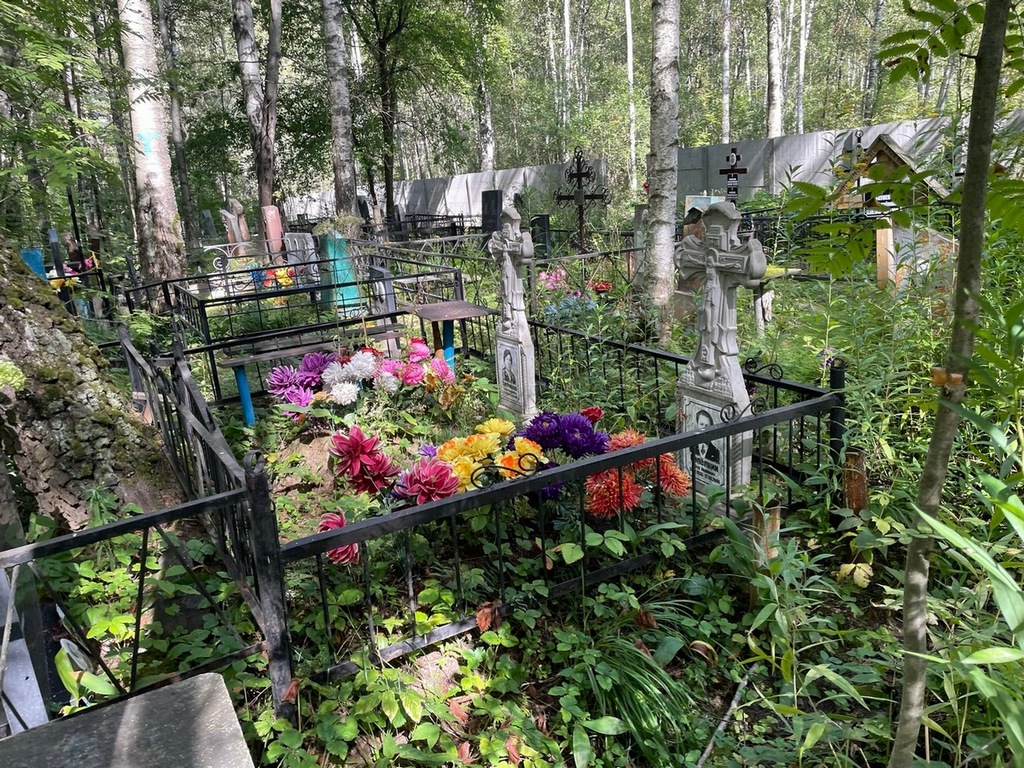 Сапелкина Елена Куприяновна