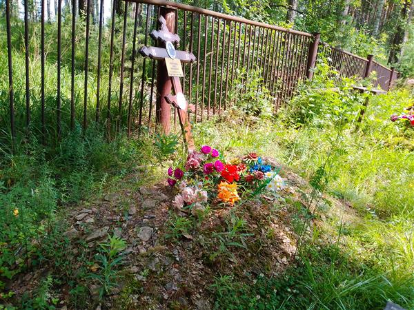 Немешаева Анна Васильевна