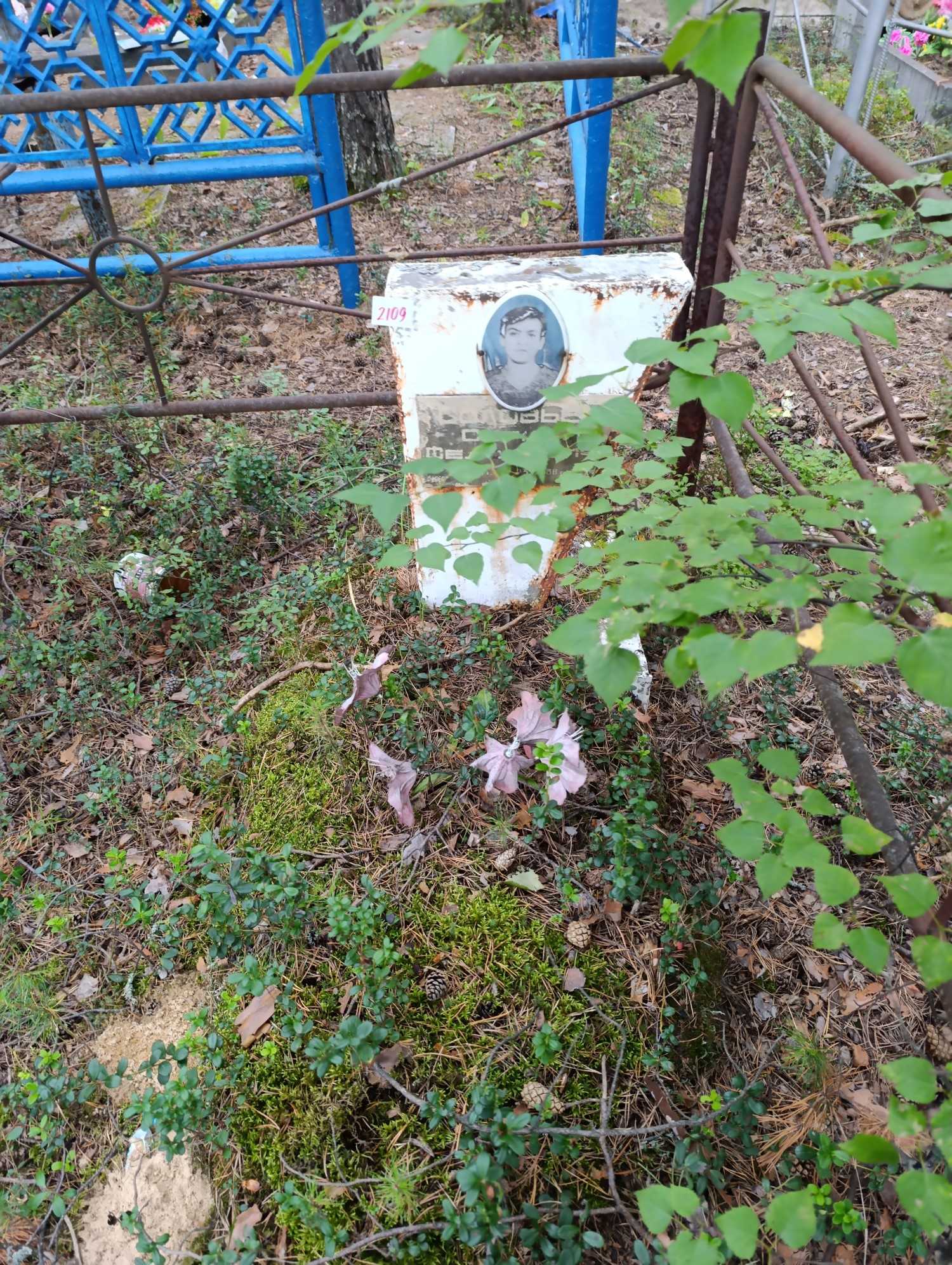 Соловьев Сергей Федорович