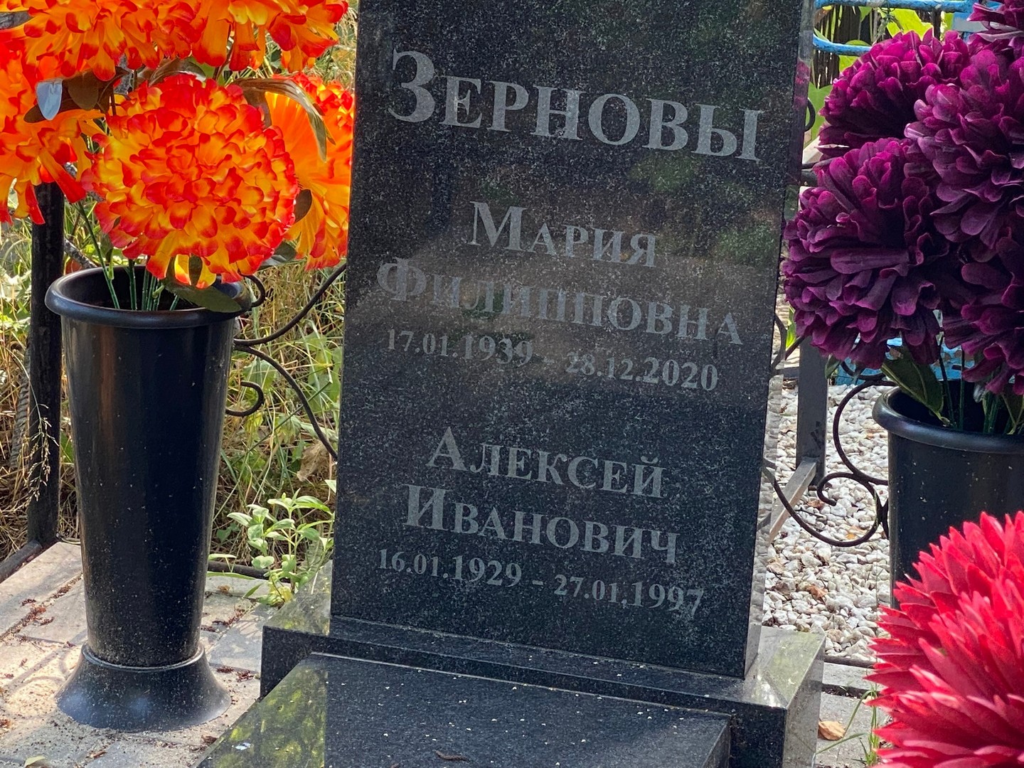 Зернова